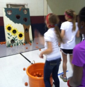 Winter Ball MiniBasketballs